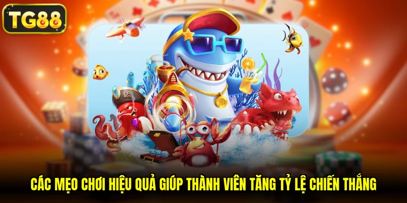 Các mẹo chơi hiệu quả giúp thành viên tăng tỷ lệ chiến thắng