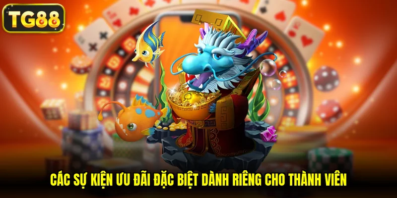 Các sự kiện ưu đãi đặc biệt dành riêng cho thành viên