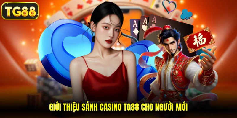 Giới thiệu sảnh casino TG88 cho người mới