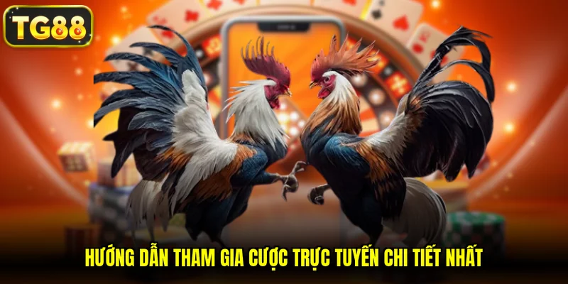 Hướng dẫn tham gia cược trực tuyến chi tiết nhất