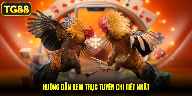 Hướng dẫn xem trực tuyến chi tiết nhất