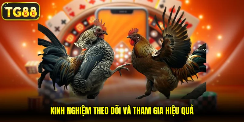 Kinh nghiệm theo dõi và tham gia hiệu quả