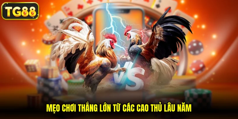 Mẹo chơi thắng lớn từ các cao thủ lâu năm