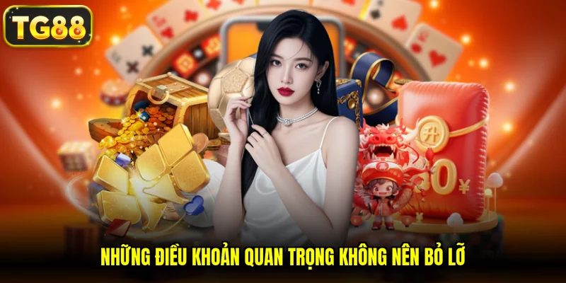 Những điều khoản quan trọng không nên bỏ lỡ