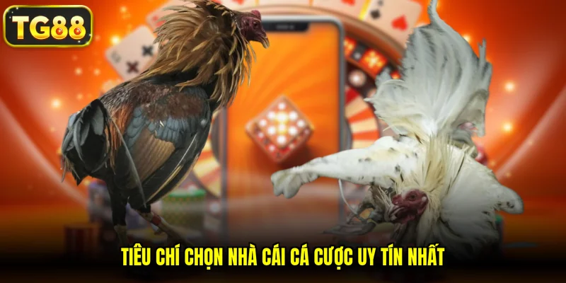 Tiêu chí chọn nhà cái cá cược uy tín nhất