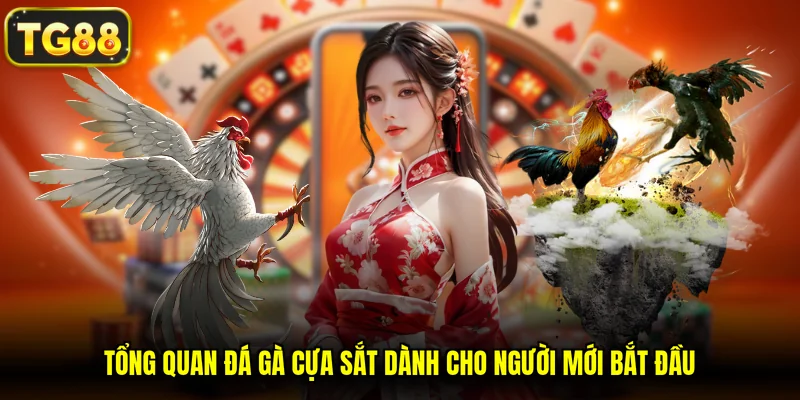 Tổng quan đá gà cựa sắt dành cho người mới bắt đầu
