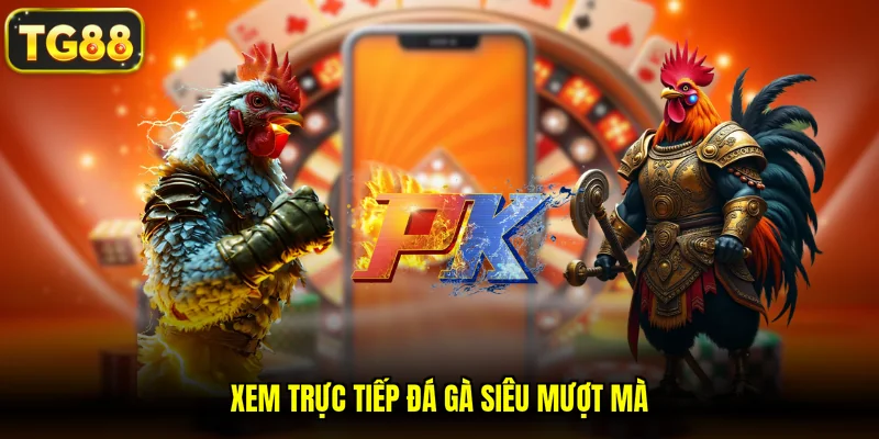 Xem trực tiếp đá gà siêu mượt mà