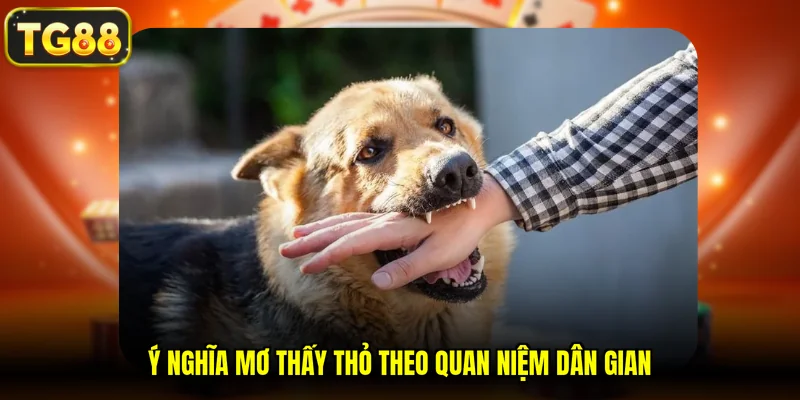 Ý nghĩa mơ thấy thỏ theo quan niệm dân gian